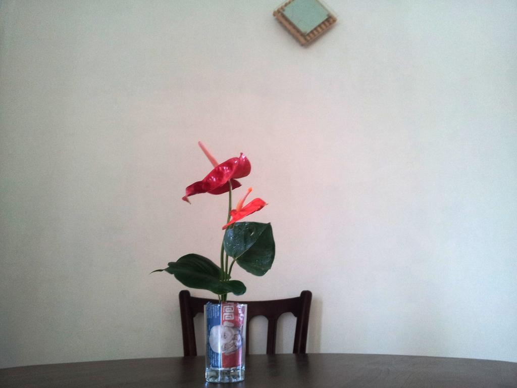 Calidan Bed and Breakfast Mirissa Buitenkant foto